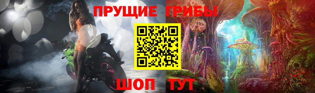 Псилоцибиновые грибы Cubensis  Вход с VPN  Галлюциногенные грибы Psilocybine cubensis  Отрадное 